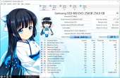 1252x821