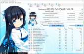 1252x821