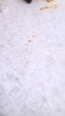 406x720