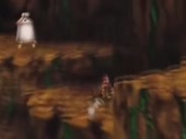 480x360