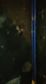 608x1078
