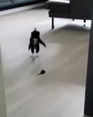 320x400
