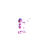 720x720