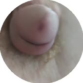 240x240