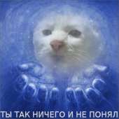 430x430