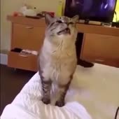 360x360