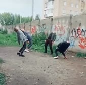 504x500