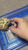 406x720