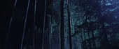 888x372