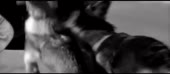 640x280