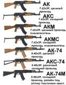 520x671