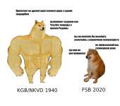 1500x1330