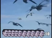 490x360
