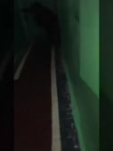 270x360