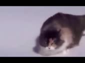 480x360