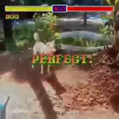 960x960