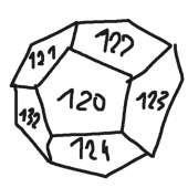 495x495