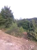360x480