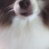 360x360