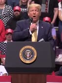 458x614