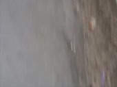 320x240