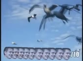 654x480