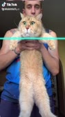 540x960