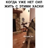 360x360