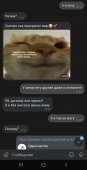 720x1406
