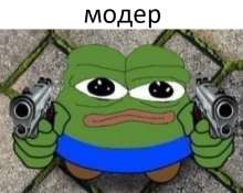 556x443