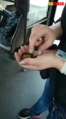 406x720