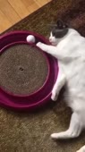 360x640