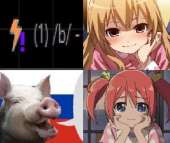 403x339