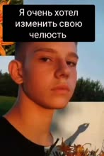 480x714