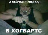 500x373