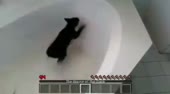 480x268