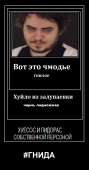 724x1380