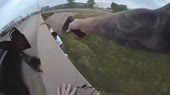 460x258