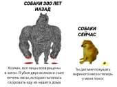 700x527