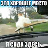 602x604