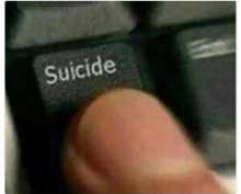 534x430