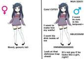 604x427