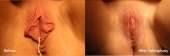 800x268