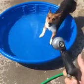 360x360