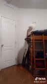 576x1024