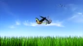 640x360