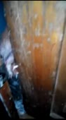 200x360