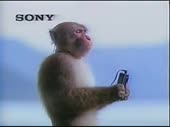 320x240