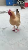 406x720
