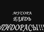 320x240